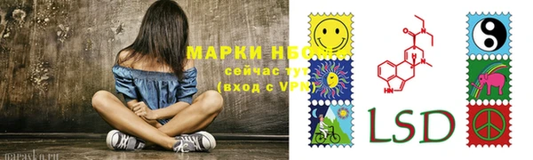 PSILOCYBIN Богданович