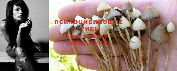 меф Богородск