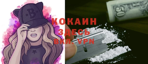 стаф Богородицк