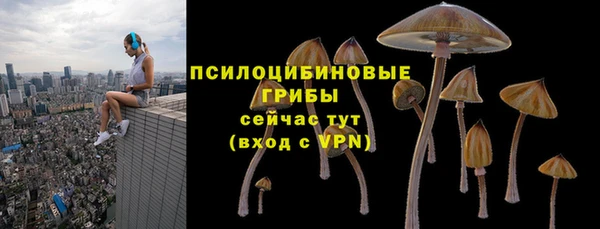 трава Белая Холуница