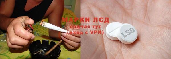 PSILOCYBIN Богданович