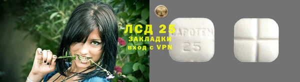стаф Богородицк