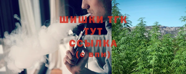 PSILOCYBIN Богданович