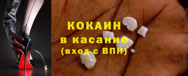 стаф Богородицк